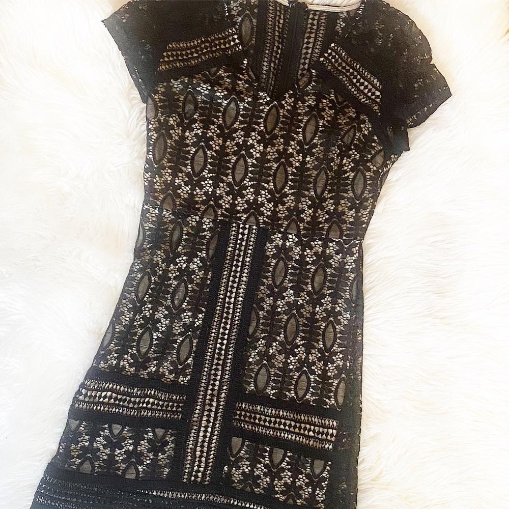 Francesca’s Black & Cream Short Sleeve V Neck Mini Lace Dress